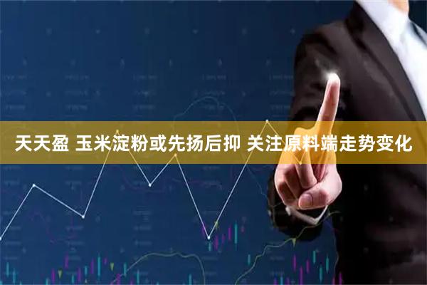 天天盈 玉米淀粉或先扬后抑 关注原料端走势变化